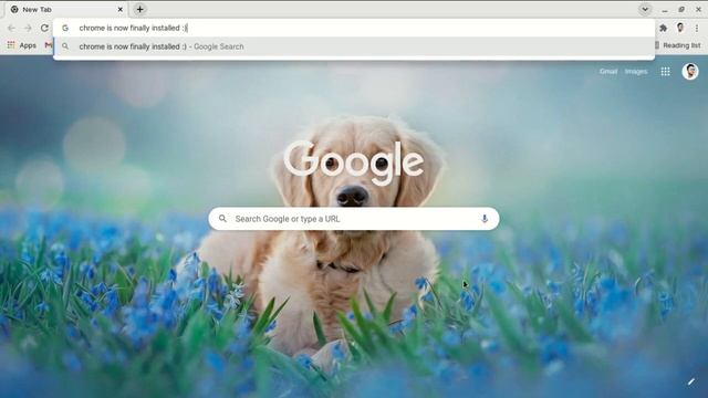 How to install Chrome in Zorin OS (Linux) #chrome #soumyadip смотреть онлайн