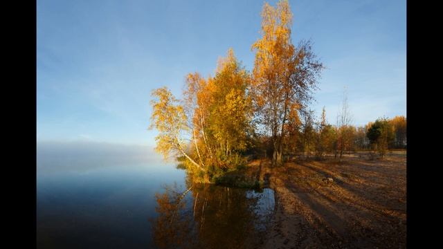 16 октября День Дионисия. Денис Позимний. Пять главных запретов дня. Народные приметы и поверья.