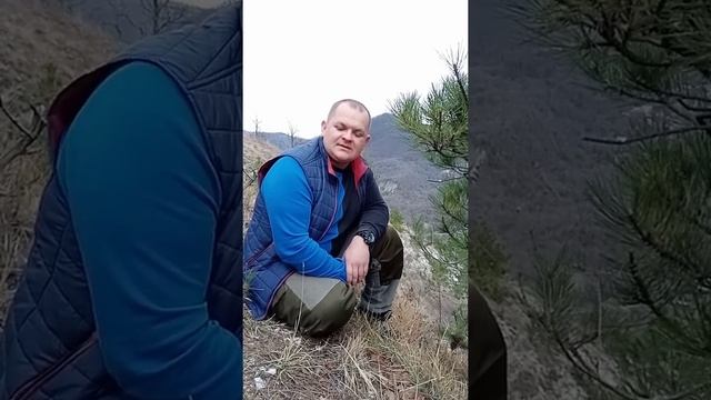 Семена тыквы с медом отличное средство против простаты и аденомы #мёдомаркет #травник #краснодар смотреть онлайн