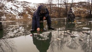 Навозный червь сманил горбатых и понеслась ч2