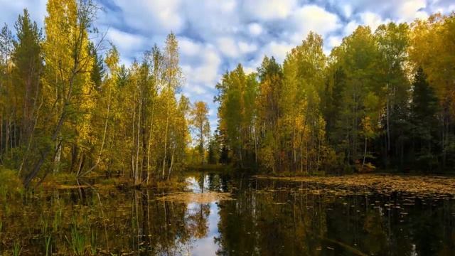 Чем лечить уныние? Два средства избавления. Праведный Иоанн Кронштадтский. смотреть онлайн