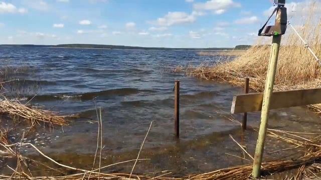 Ловлю плотву в мае на Селигере. Городомля Ру