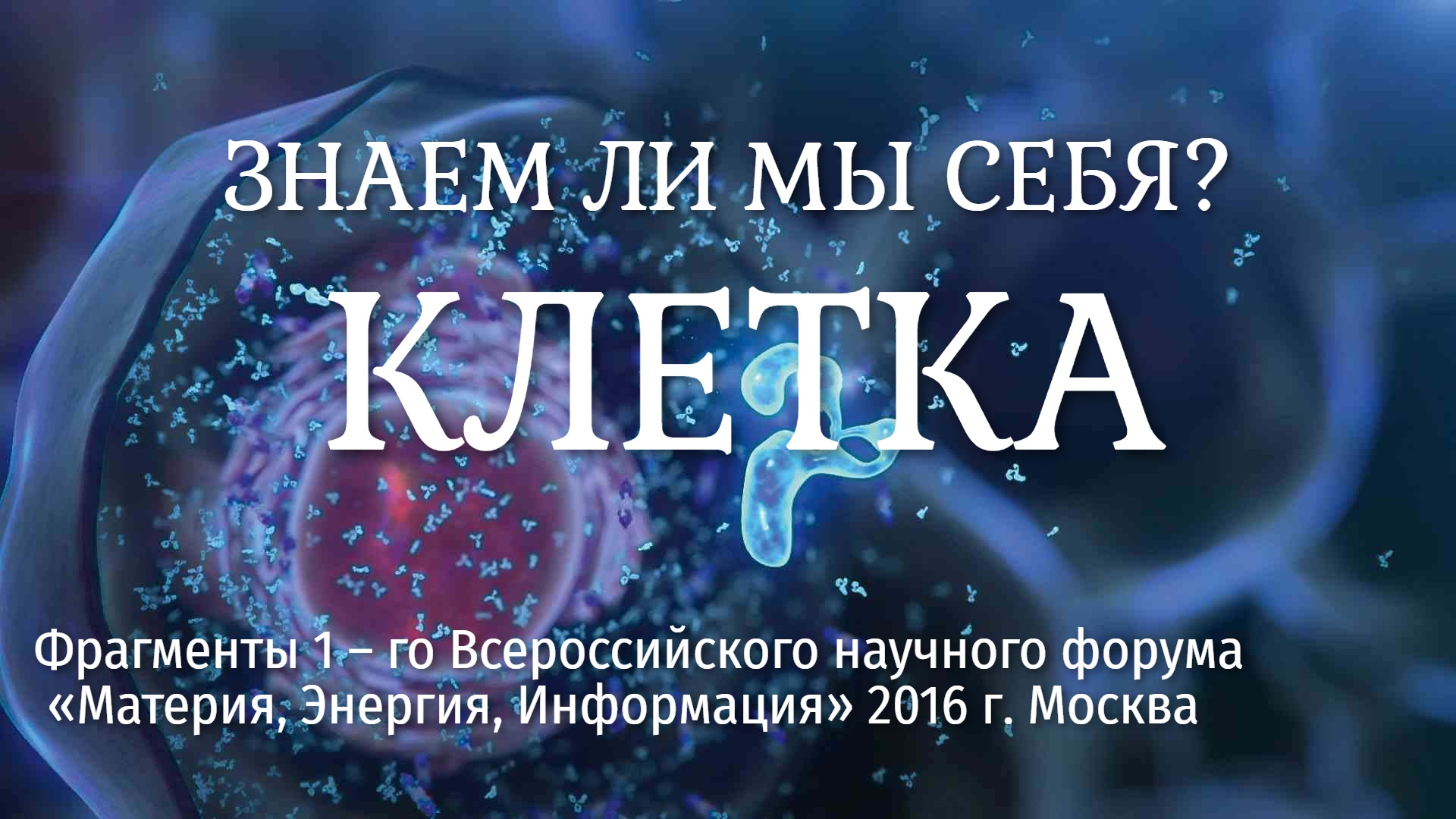 ЗНАЕМ ЛИ МЫ СЕБЯ?  КЛЕТКА.