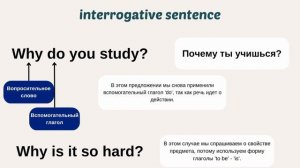 Английский с нуля. Вопросительные предложения. Interrogative Sentences