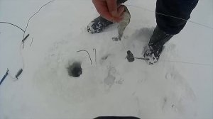 Рыбалка 31 декабря на мотособаке.