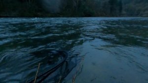 TWILIGHT STEELHEAD - DRIFT FISHING GLOW CORKIES - 4K - Take advantage of legal fishing in the dark!