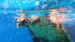 Мальдивы с детьми