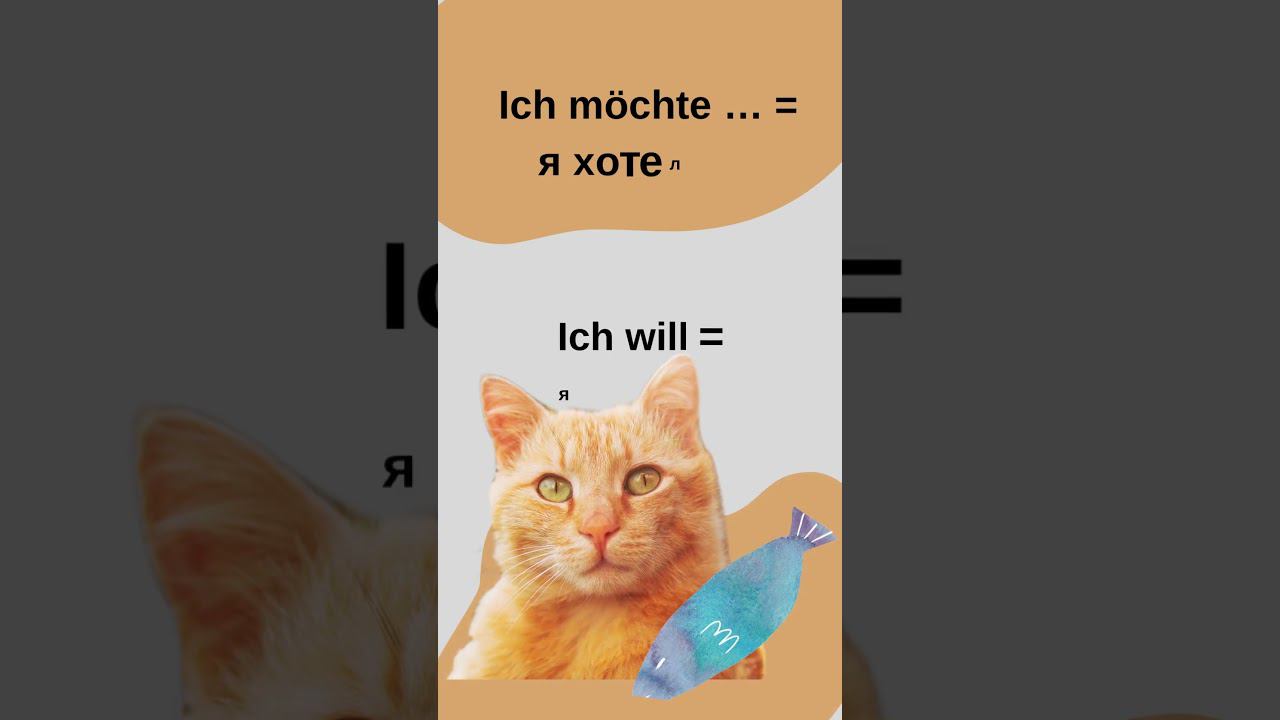 Möchten или wollen. Немецкий язык на speakASAP®. смотреть онлайн