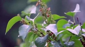 По бугоркам