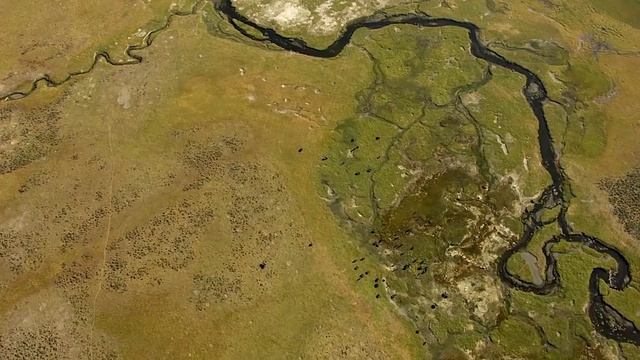 10 Животных, Которые Могут Постоять за Себя смотреть онлайн