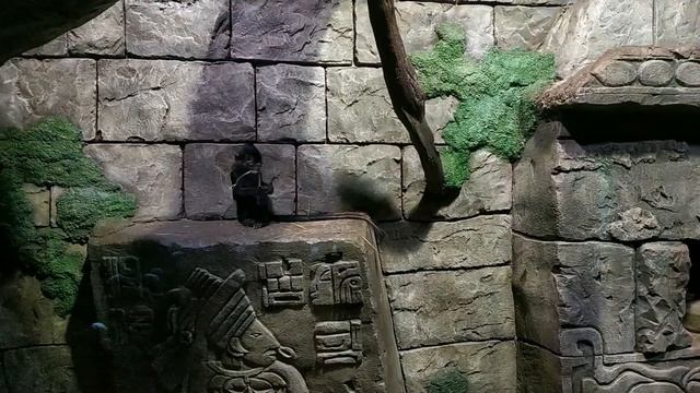 Крутой океанариум в Воронеже