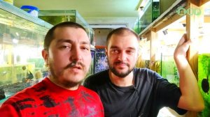 БИЗНЕС  НА АКВАРИУМНЫХ РЫБКАХ!