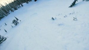 The People's Ski Test - Dynastar M-Free 108