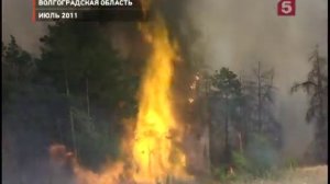 трубопроводные войска