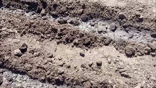 #7VLOG\Сажаем с девушкой овощи/Природа/жара/шашлык/Мальдивы/#vlog #мальдивы #природа смотреть онлайн