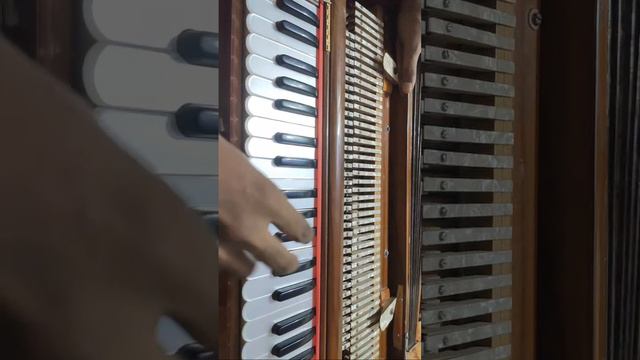 অনক গল গনর টউটরয়ল দওয় আছসবইক দখর অনরধ রইল