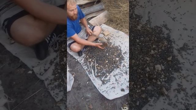 Заготовка семечек на зиму! смотреть онлайн