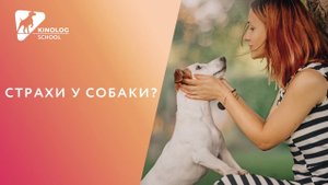 Страхи у собаки