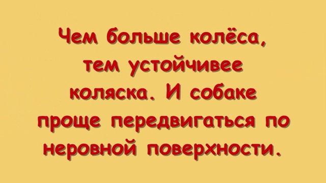 Коляска для таксы