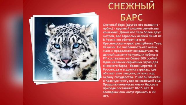 Путешествие по Красной книге