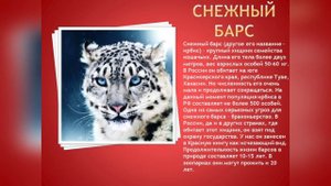 Путешествие по Красной книге