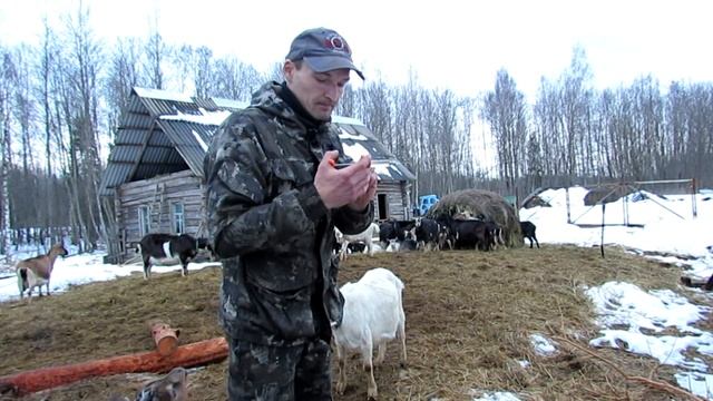 Шприц-вакцинатор для массовых инъекций