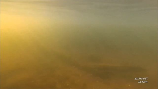 17 03 2017 Байдарка Диёвские плавни смотреть онлайн