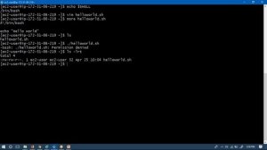 Shell Scripting  | video-2 | simple hello world shell script