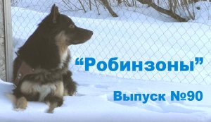 "Робинзоны" Выпус №90