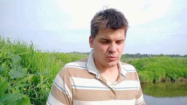 Сначала спилите кусты и деревья! А потом уже все остальное. Первичная расчистка участка.