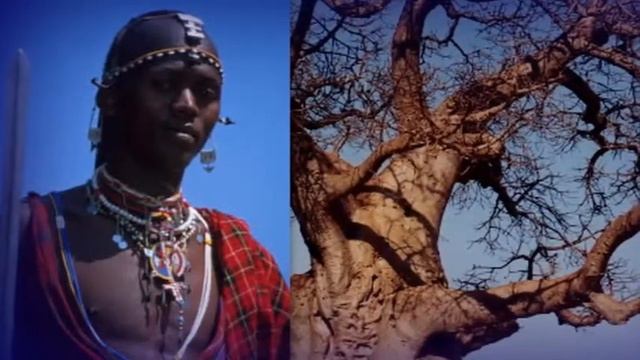 "Гимбаго или древняя тайна джунглей",сказка.Читает автор В. Ковалевский, псевдоним "Том Шервуд". смотреть онлайн