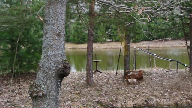 Что такое Родовое поместье 001
