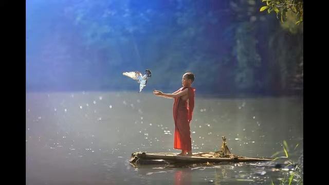 медитация отпускания и благодарности смотреть онлайн