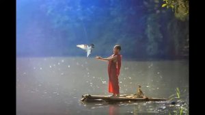 медитация отпускания и благодарности