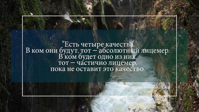 Четыре качества абсолютного лицемера I Ильдар Аляутдинов
