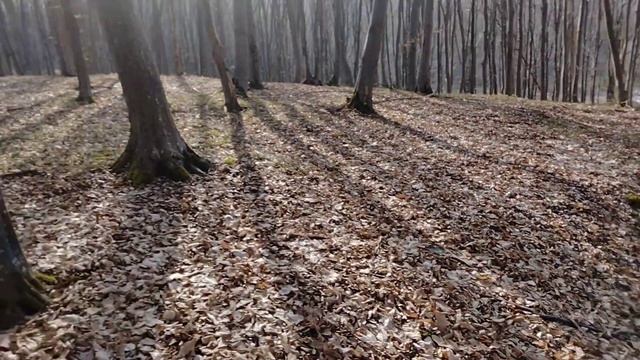 С праздником весны наши любимые женщины!!! #дача #теплица #огород # смотреть онлайн