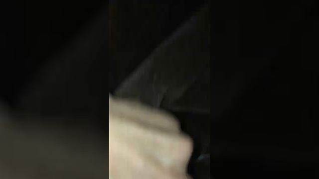 Кот Амур спит.mp4 смотреть онлайн