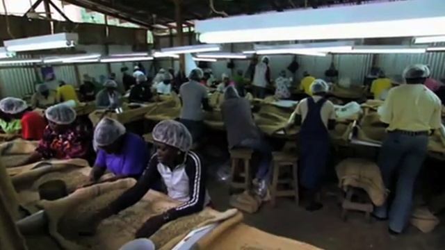 Why Should We Care About Coffee? JAMMIN JAVA Corp. Trading Symbol JAMN смотреть онлайн