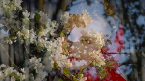 Песня «А ЗА РЕЧКОЙ УЧЕЮ», музыка Валерия Сёмина на стихи Валерия Калинкина. Поёт Валерий Сёмин.