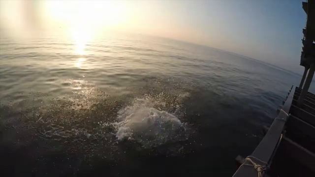 Let my people go diving to the ocean смотреть онлайн