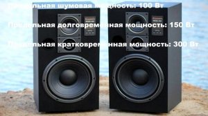 Лучшие акустические системы СССР! ТОП-3 АС 80х-90х годов!