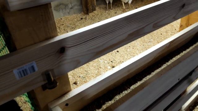 Биолатик, запуск бактерий Биолатик в вольере с курицами. смотреть онлайн