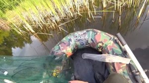 Первая рыбалка Тони! Поймали толстолоба на бутылку закидушки