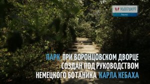 Отдых в Крыму. Алупка. Воронцовский дворец. Мы в Крым.