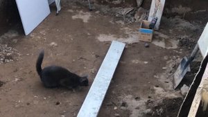 Бассейн своими руками