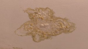 В пятиэтажке на улице Крупской 10 лет протекает крыша