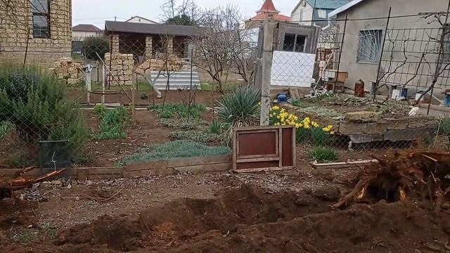 Два дня из жизни нашего Крымского участка. Достаём пеньки и копаем яму под септик. Куда деть глину? смотреть онлайн