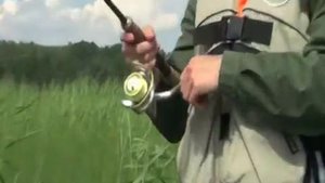 Рыбалка на надувной лодке DINGO 32F, лодка ПВХ (360p)