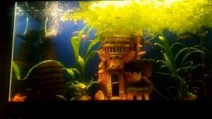 Деньги делают всё. История из жизни. 2 часть