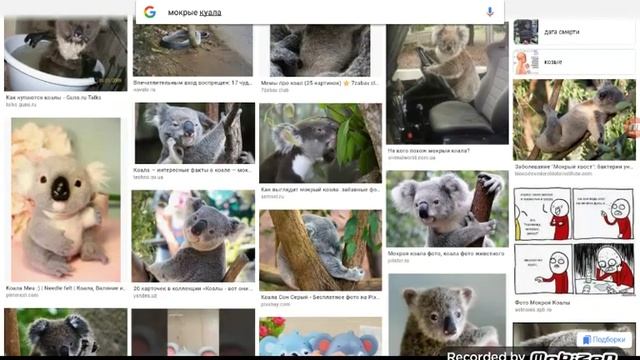 Гуглим вещи которые нельзя гуглить